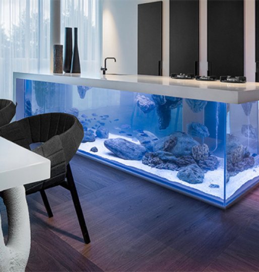 A Multifunctional Aquarium - For Your Kitchen